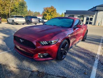 2015 Ford Mustang Bloomington IN