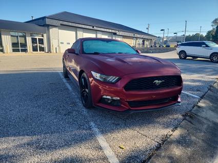 2015 Ford Mustang Bloomington IN