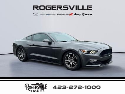 2016 Ford Mustang Rogersville TN