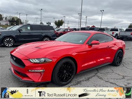 2021 Ford Mustang Knoxville TN
