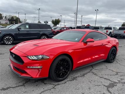 2021 Ford Mustang Knoxville TN