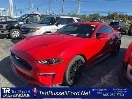 2021 Ford Mustang Knoxville TN