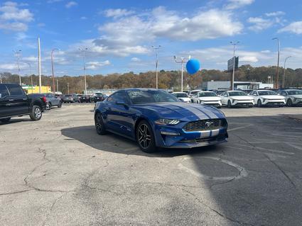 2022 Ford Mustang Sheffield AL