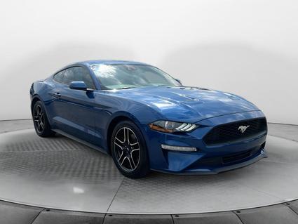 2022 Ford Mustang Sheffield AL