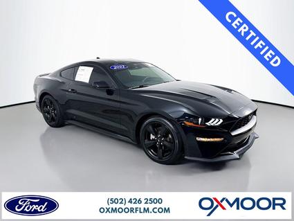 2022 Ford Mustang Louisville KY