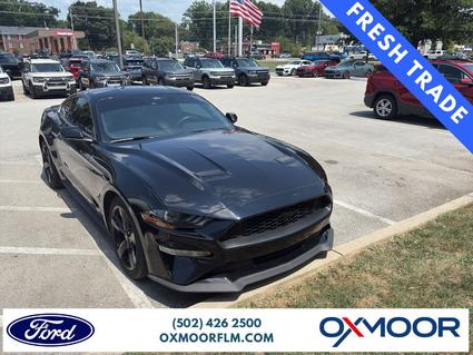 2022 Ford Mustang Louisville KY