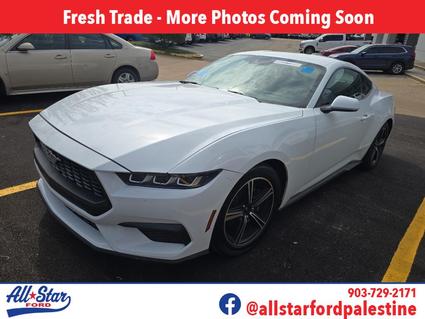 2024 Ford Mustang Palestine TX