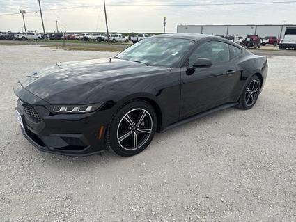 2024 Ford Mustang Whitesboro TX