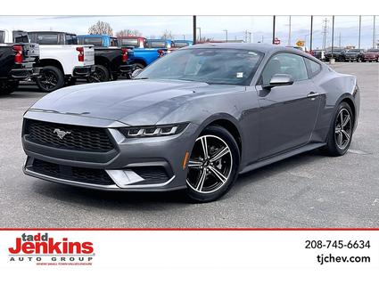 2024 Ford Mustang Rigby ID