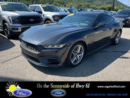 2024 Ford Mustang Winona MN