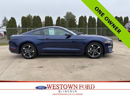 2019 Ford Mustang Jacksonville IL
