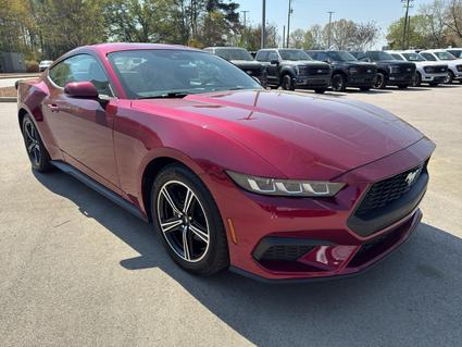 2025 Ford Mustang York SC
