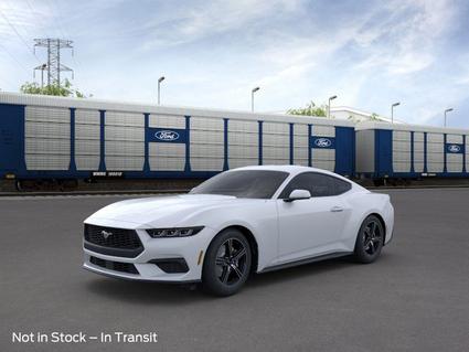 2025 Ford Mustang Wooster OH
