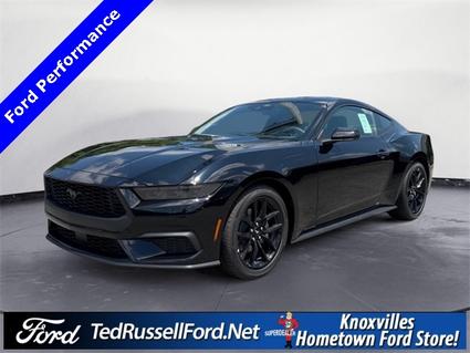 2025 Ford Mustang Knoxville TN