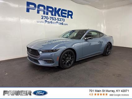 2026 Ford Mustang Murray KY