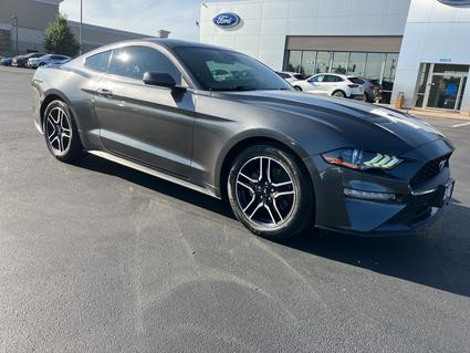 2019 Ford Mustang Ellisville MO