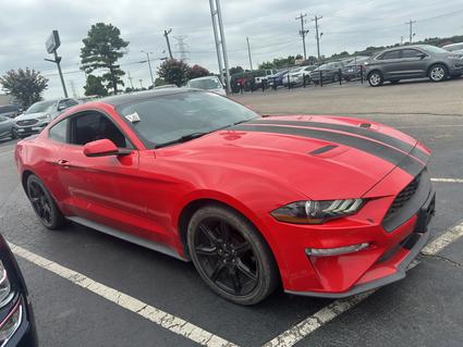 2019 Ford Mustang Memphis TN
