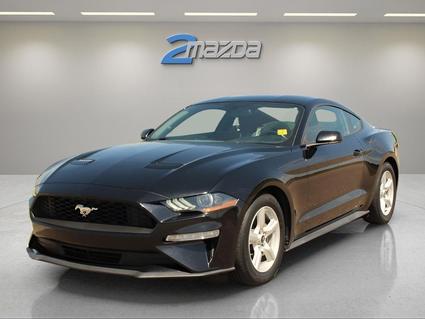 2019 Ford Mustang Loveland CO