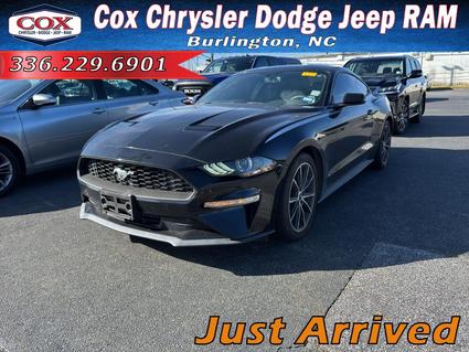2019 Ford Mustang Burlington NC