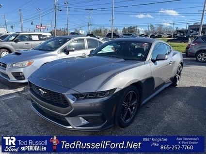 2025 Ford Mustang Knoxville TN