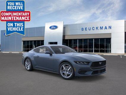 2025 Ford Mustang Ellisville MO