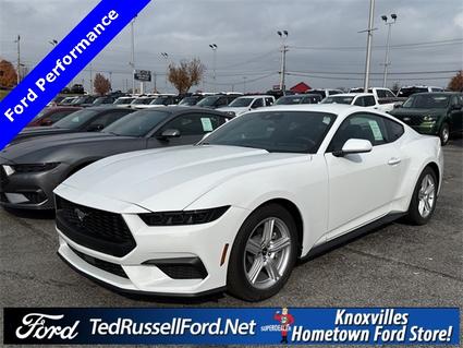 2026 Ford Mustang Knoxville TN