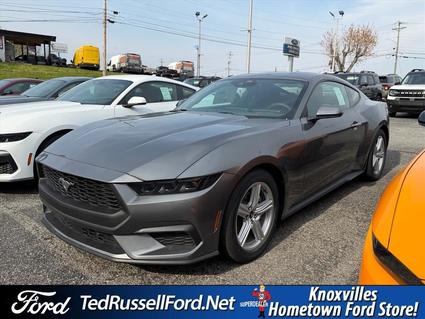 2026 Ford Mustang Knoxville TN