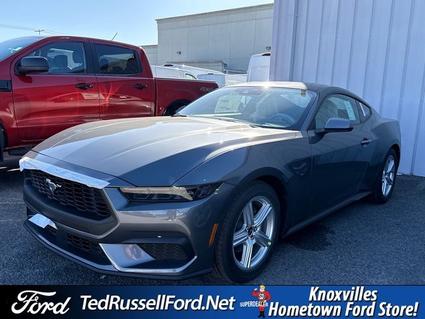 2026 Ford Mustang Knoxville TN