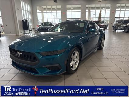 2026 Ford Mustang Knoxville TN