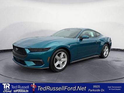2026 Ford Mustang Knoxville TN