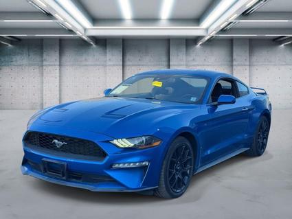 2019 Ford Mustang Patchogue NY