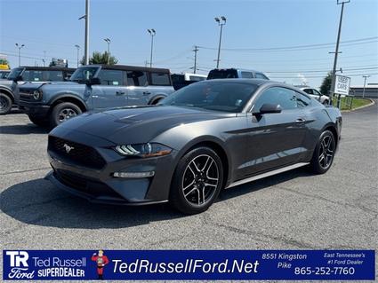 2020 Ford Mustang Knoxville TN
