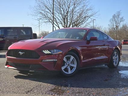 2021 Ford Mustang Hopkinsville KY