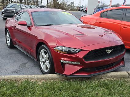 2021 Ford Mustang Hopkinsville KY