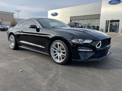 2021 Ford Mustang Ellisville MO