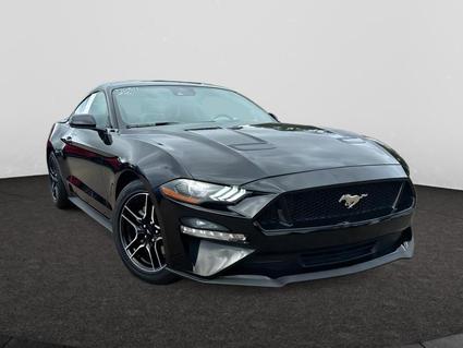 2022 Ford Mustang Jackson MS