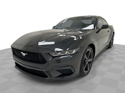 2024 Ford Mustang Livingston TX