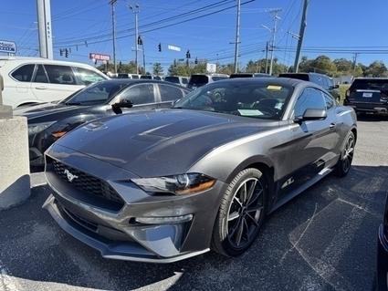 2019 Ford Mustang Knoxville TN