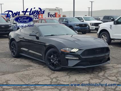 2019 Ford Mustang Fishers IN