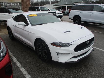 2023 Ford Mustang Pulaski TN