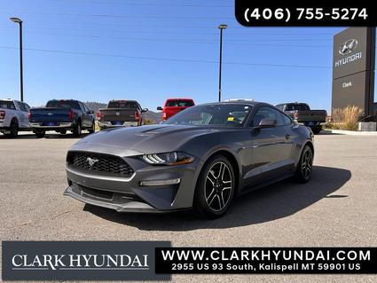 2023 Ford Mustang Kalispell MT