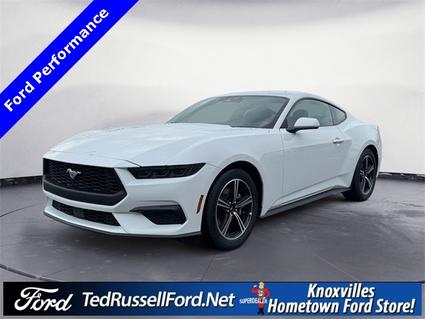 2025 Ford Mustang Knoxville TN