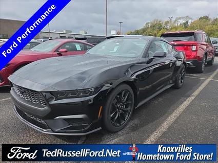 2026 Ford Mustang Knoxville TN