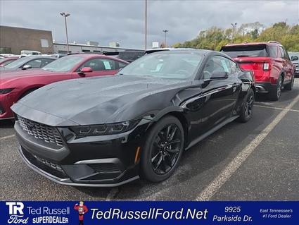 2026 Ford Mustang Knoxville TN