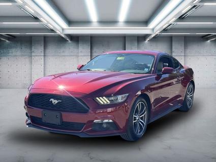 2016 Ford Mustang Patchogue NY