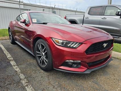 2017 Ford Mustang Jackson MS