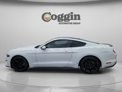 2019 Ford Mustang Jacksonville FL