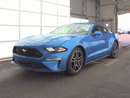 2019 Ford Mustang Monticello IN
