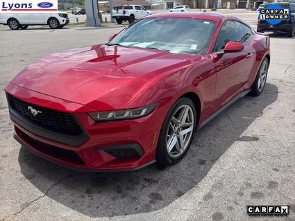 2024 Ford Mustang Lewisburg TN