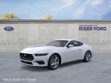 2025 Ford Mustang Hot Springs AR